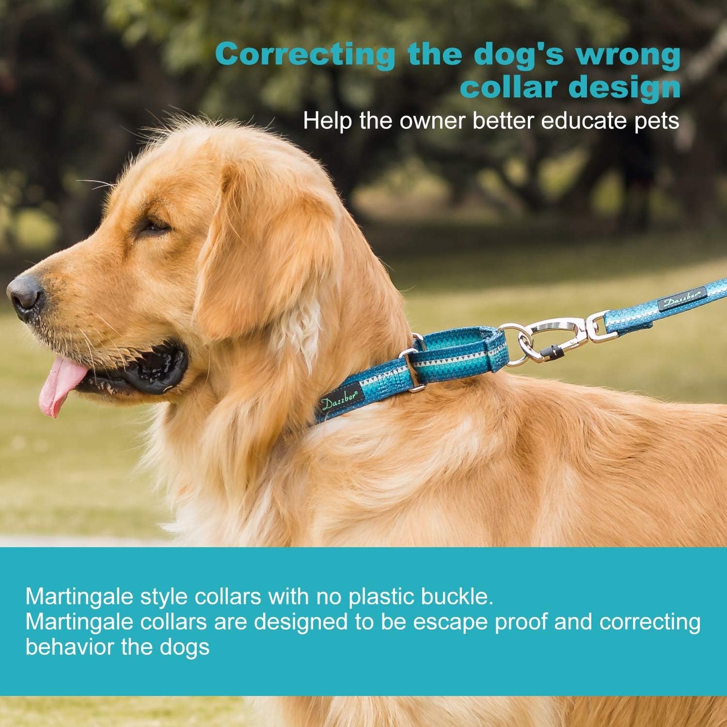 Martingale Dog Collar No Pull Pet Collar Heavy Duty Dog Martingale Collars Silky with Unique Geometric Pattern for Medium and Large Dogs (Large, Turquoise)
